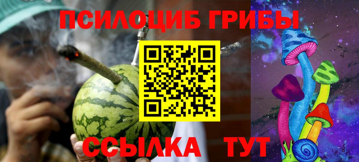 Псилоцибиновые грибы Magic Shrooms  Псилоцибиновые грибы GOLDEN TEACHER  Вход с VPN  Протвино 